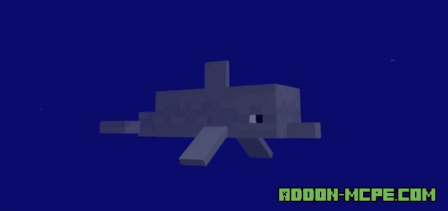 Мод на Дельфина в Minecraft PE 1