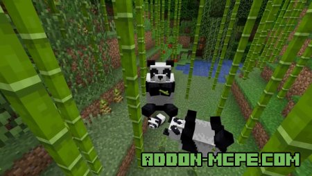 панды в игре Minecraft