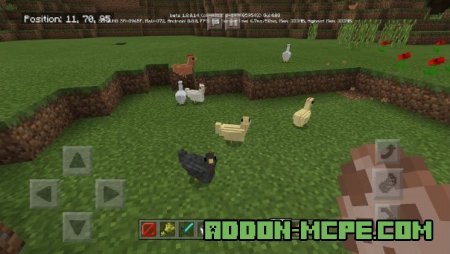 Курицы в Minecraft