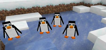 Статья по Мод: Пингвин
