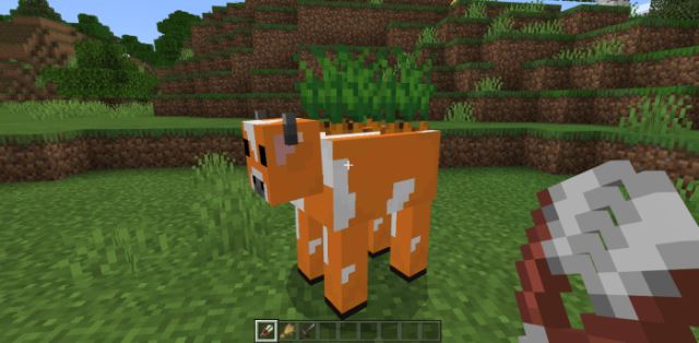 Морковная корова