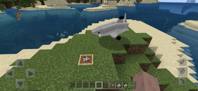 Обыкновенная кошачья акула на суше