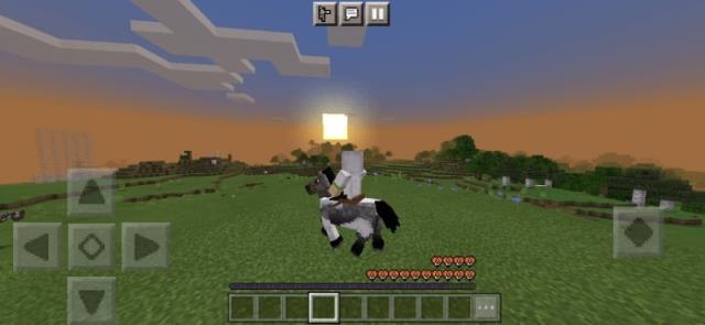 Пример езды на лошади 1