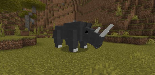 Внешний вид носорогов