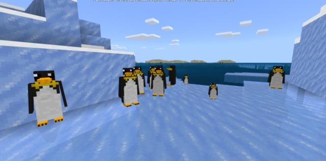 Внешний вид пингвинов