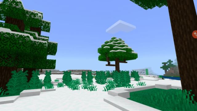 Как выглядят новые деревья 3