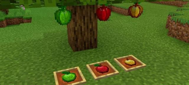 Как выглядят яблоки 3