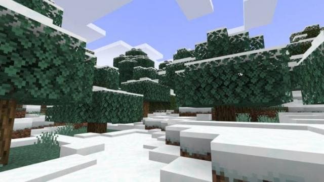 Как выглядят Морозные леса