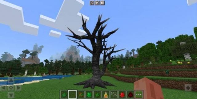 Как выглядит дерево