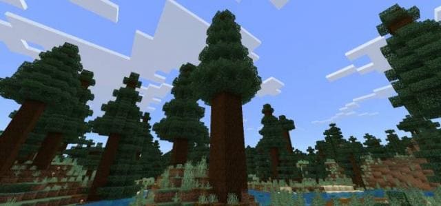 Новые варианты деревьев в зимнем лесу 2