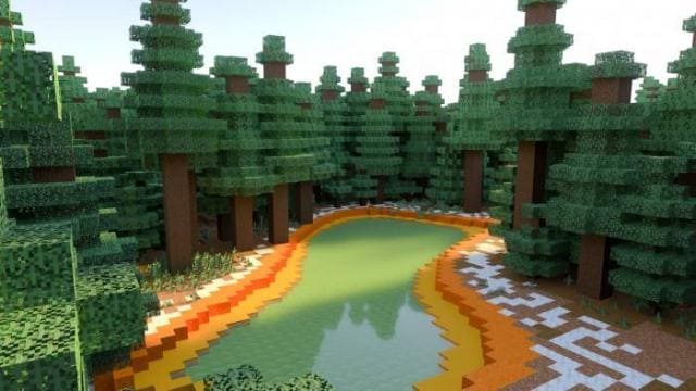 Как выглядят Лес эвкалипта
