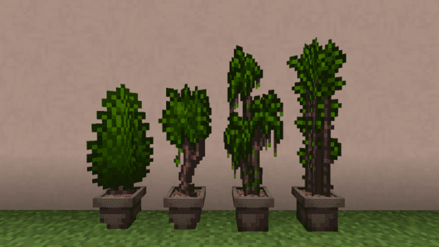 Пример деревьев в горшке 2