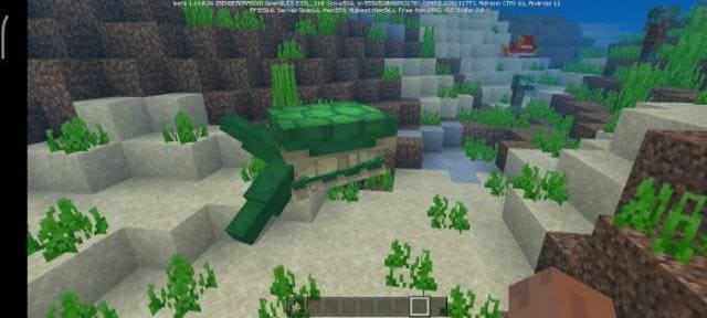 Новая черепаха плывет в воде