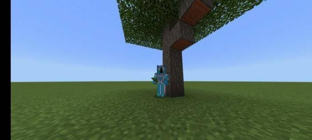 Пример скоростного выращивания дерева 3