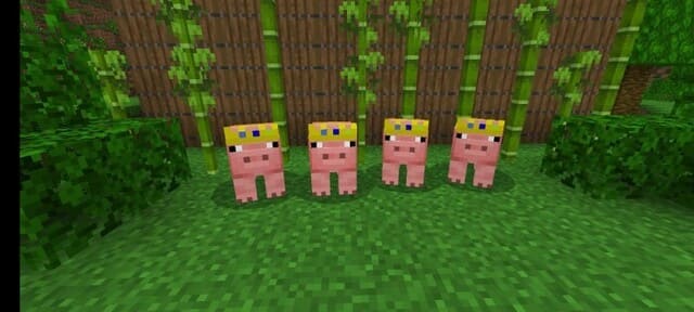 Измененные свиньи стоят перед игроком