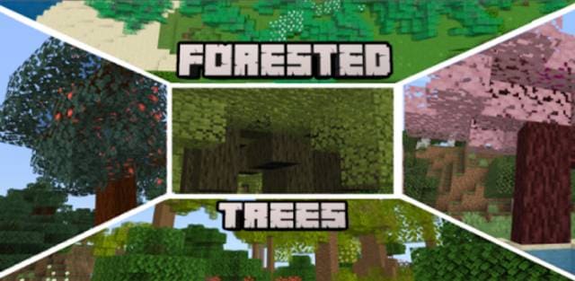 Мод: Лесные деревья