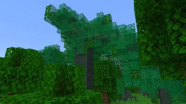 Как выглядит Зеленое дерево