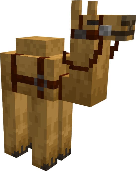 Как выглядит верблюд
