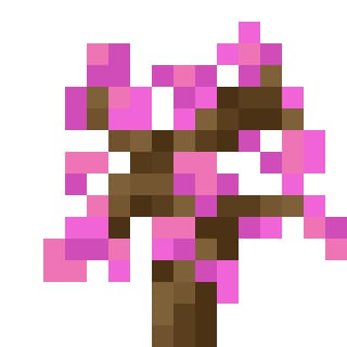Как выглядит саженец вишни