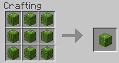 Как создать блок кактуса