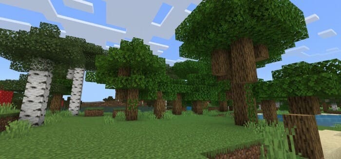 Как выглядят низкие деревья
