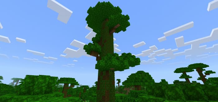 Как выглядят новые варианты деревьев джунглей 2