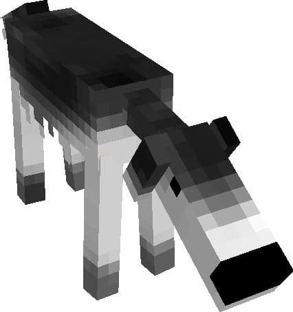 Черно-белый вариант Борзой собаки