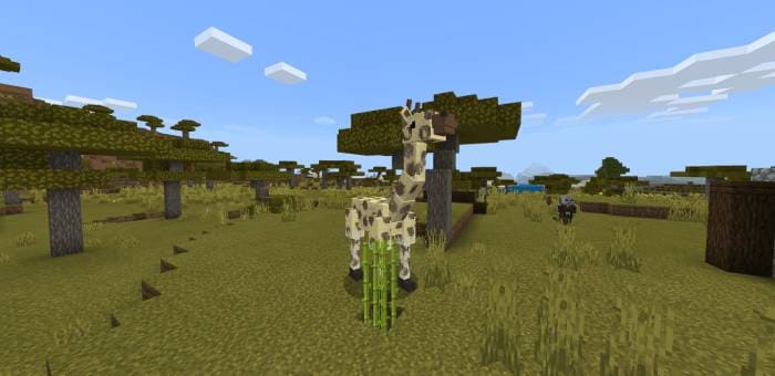 Жирафы в игровом мире