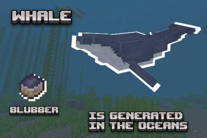 Как выглядит кит