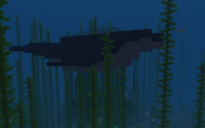 Как выглядят киты в игре