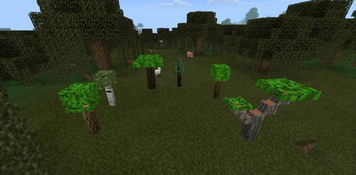 Как выглядят лежащие деревья 3
