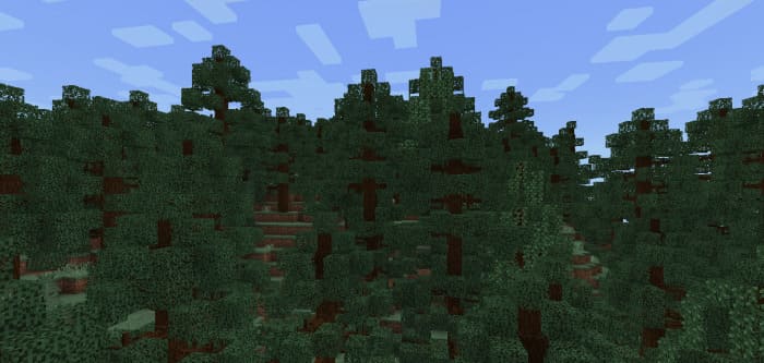 Как выглядят новые деревья 7