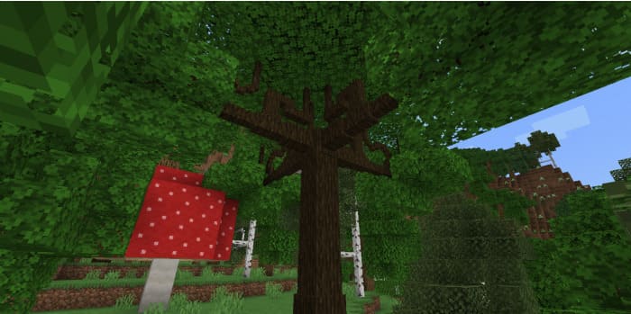 Как выглядят новые деревья 8