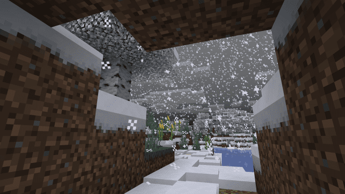 Как выглядит снежный биом 6