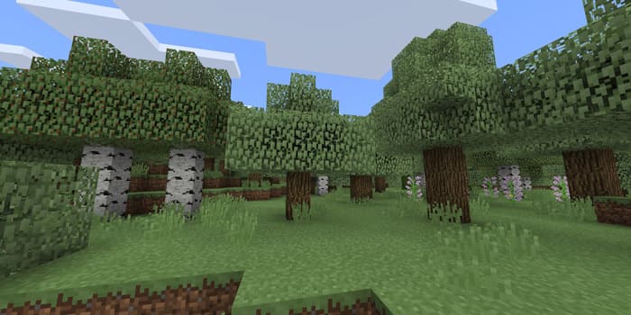 Как выглядят новые варианты деревьев 3