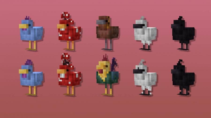Специальные варианты куриц в игре