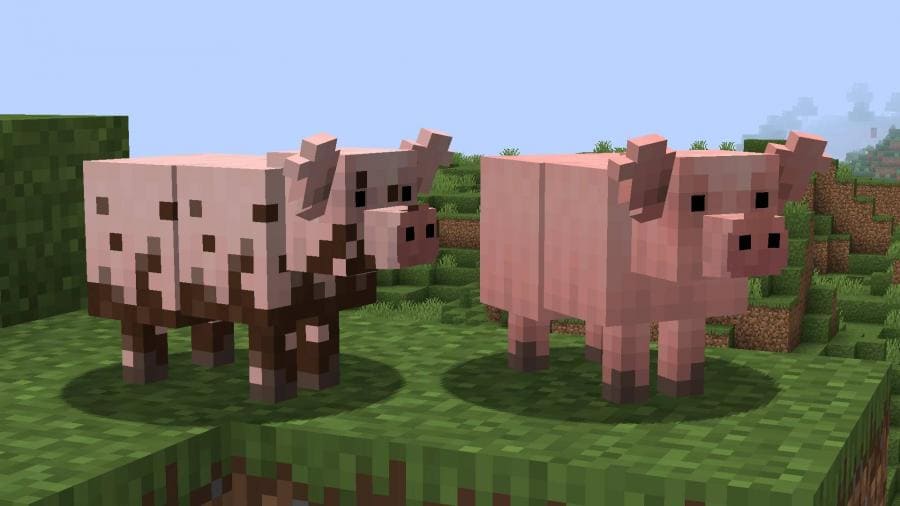 Переработанный вариант свиней